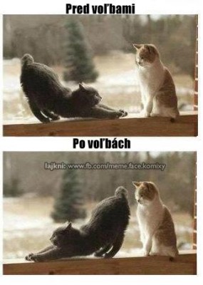 Pred a po volbách.jpg